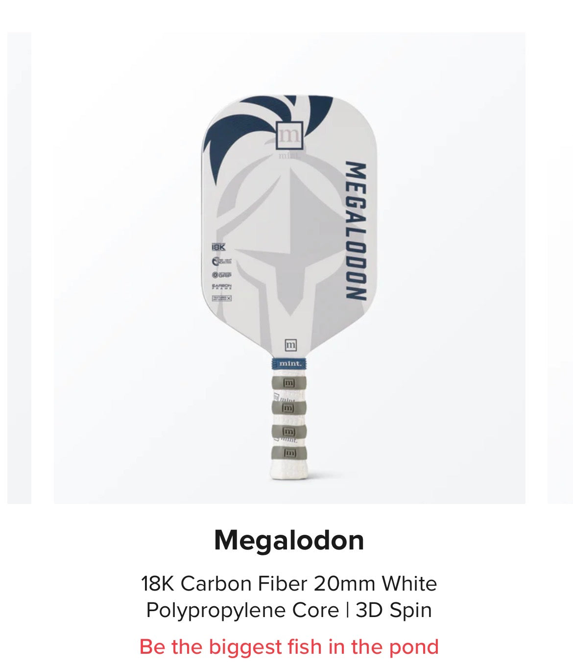 Mint Sport Megalodon pickleball paddle